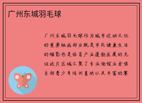 广州东城羽毛球